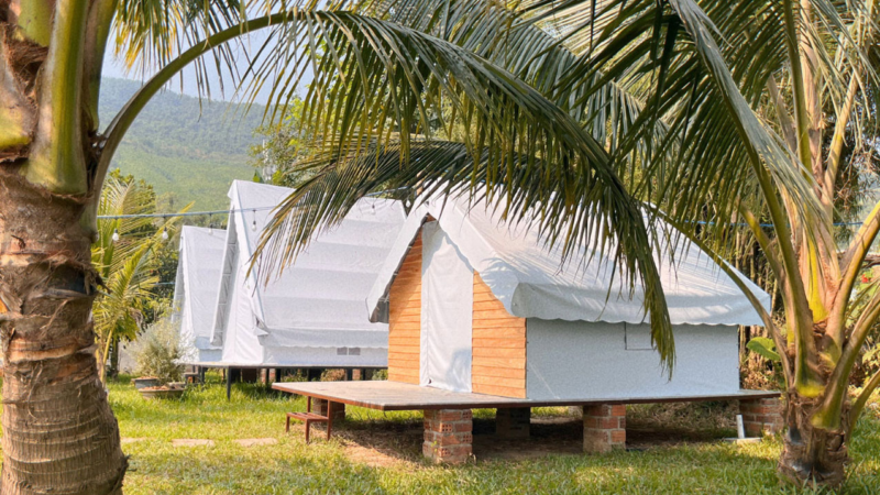 Dừa Xanh Camping