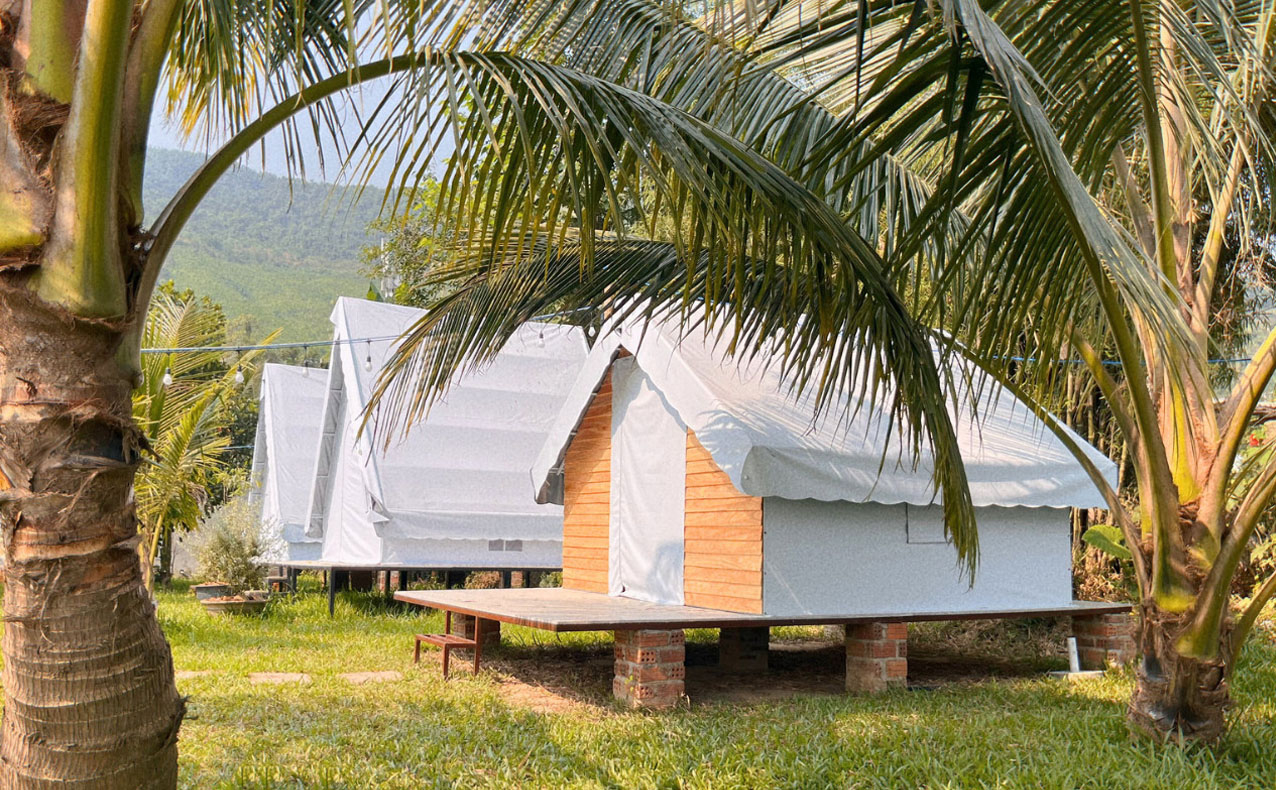 Dừa Xanh Camping