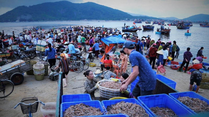 Kinh nghiệm mua hải sản ở Đà Nẵng